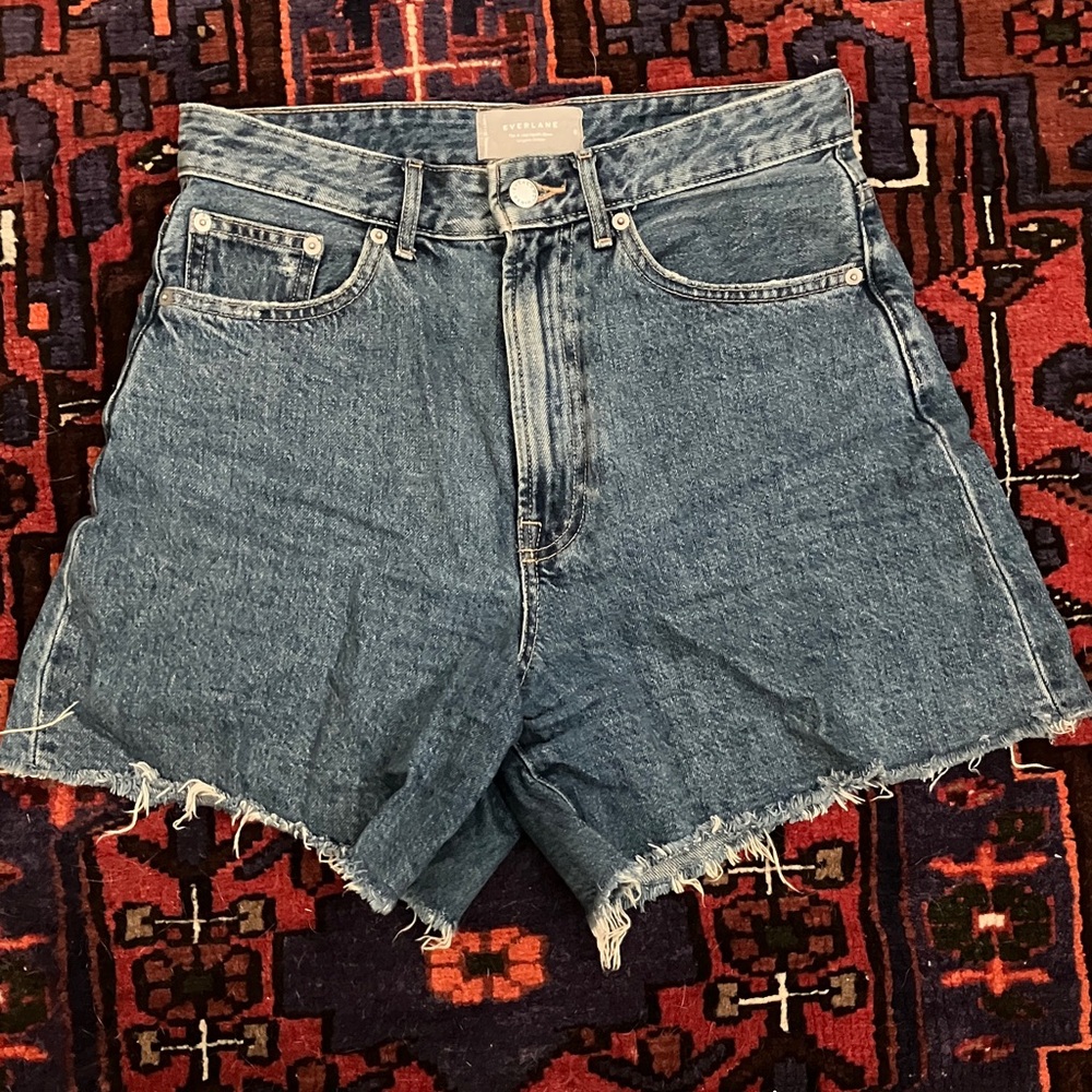 Everlane A Line Frayed Jean Shorts